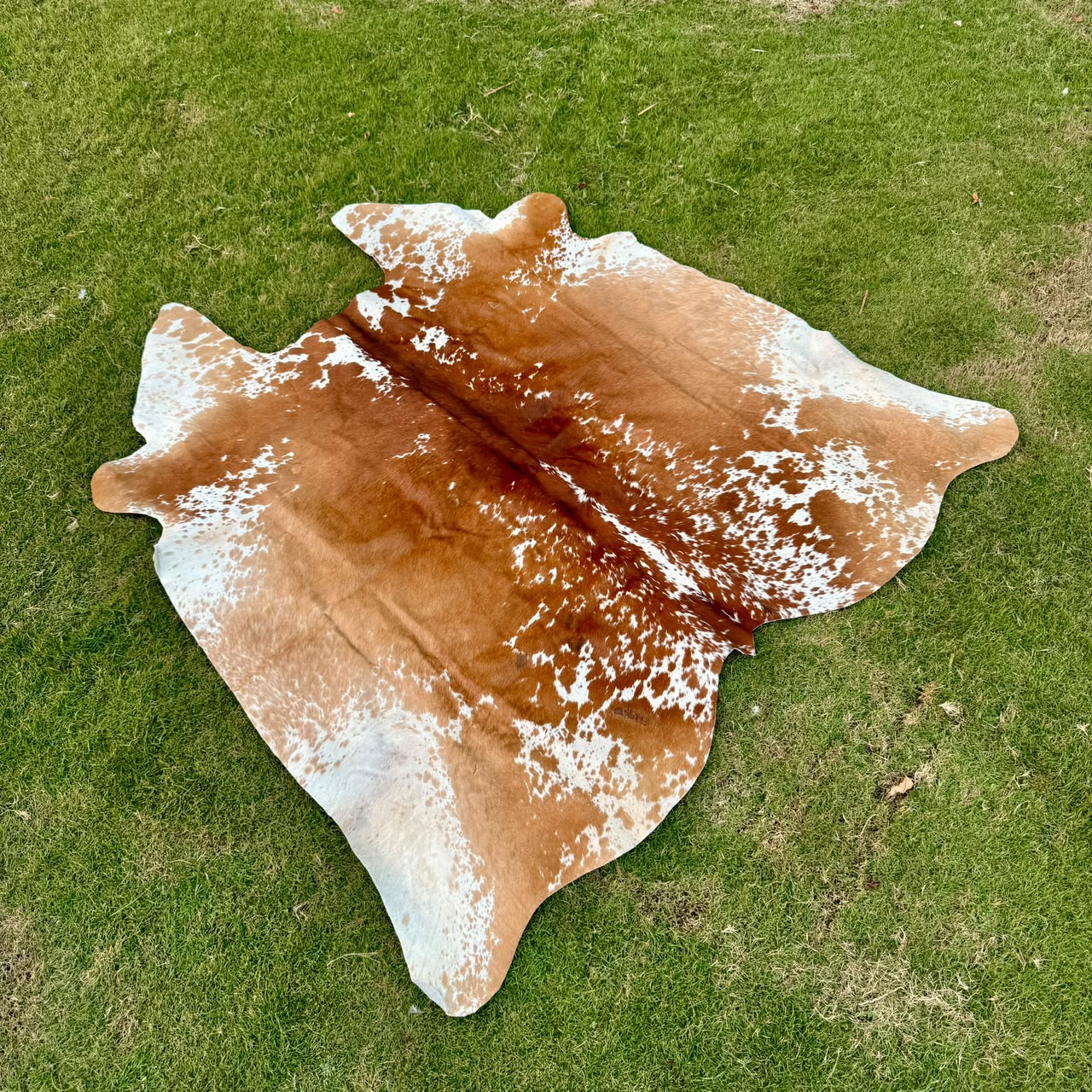 A natural cowhide rug with a brown and white mottled pattern laid out on a green grass lawn.