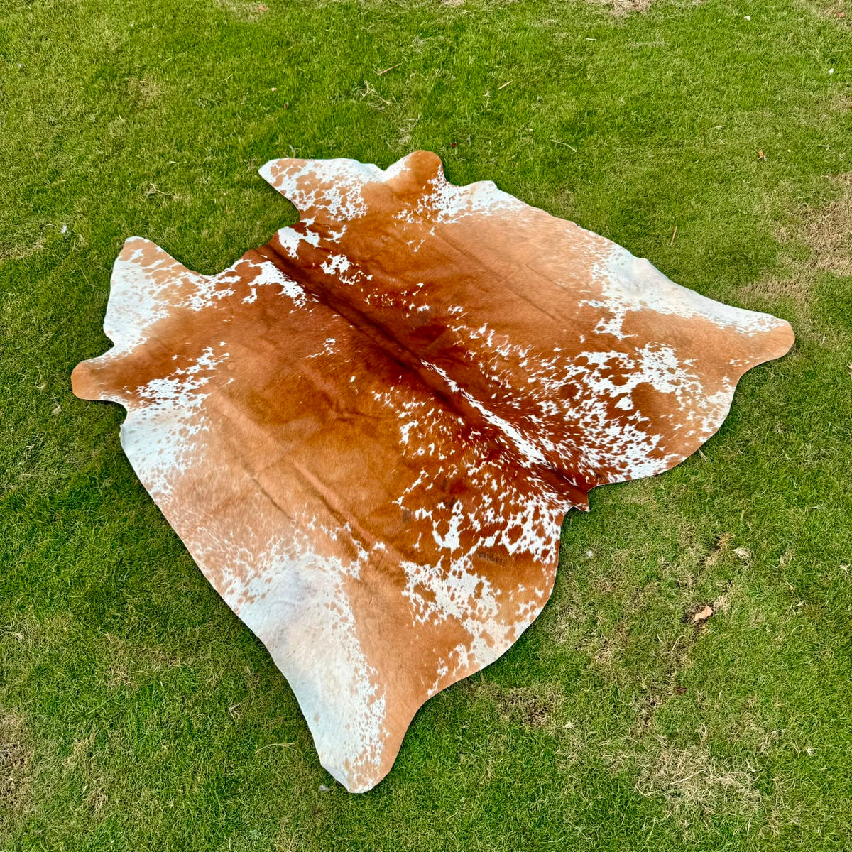A natural cowhide rug with a brown and white mottled pattern laid out on a green grass lawn.
