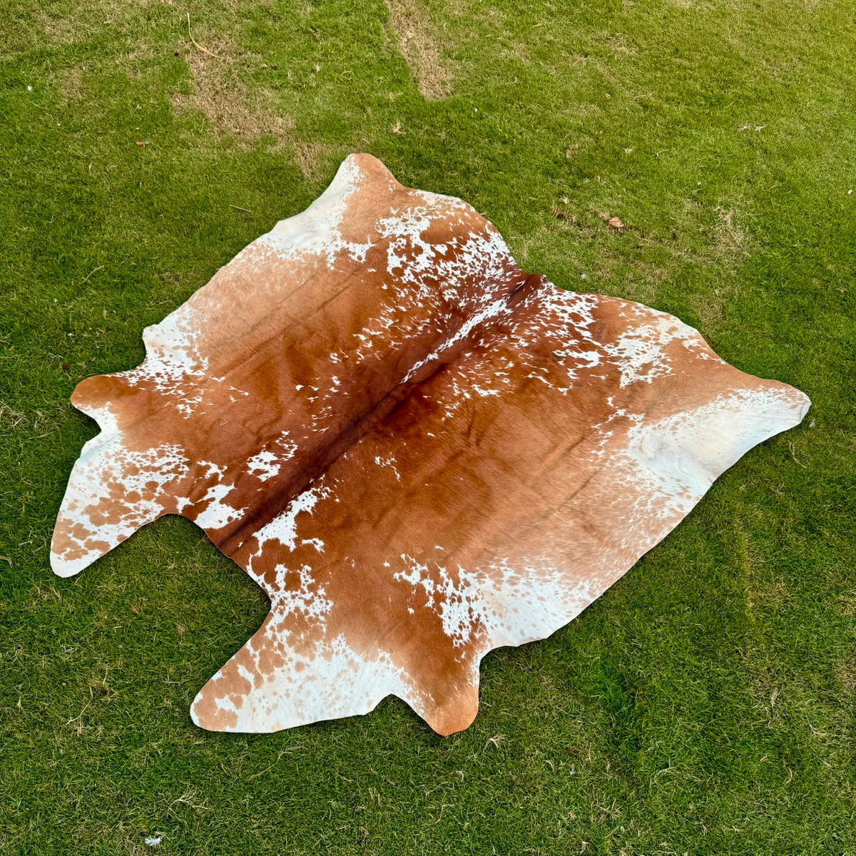 A natural cowhide rug with a brown and white mottled pattern, laid out on a green grass lawn.