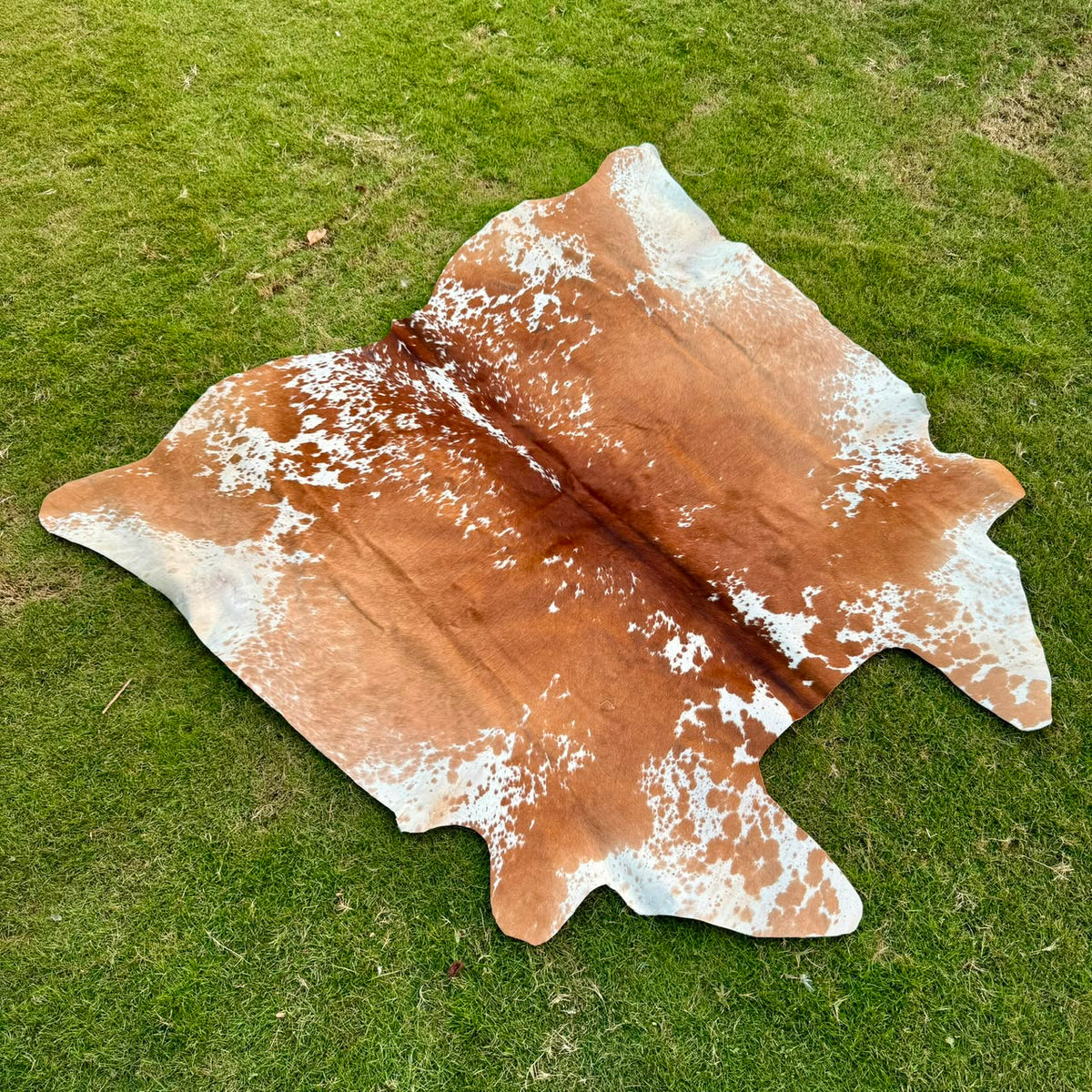 A natural cowhide rug with a mottled brown and white pattern, laid flat on a green grass lawn.