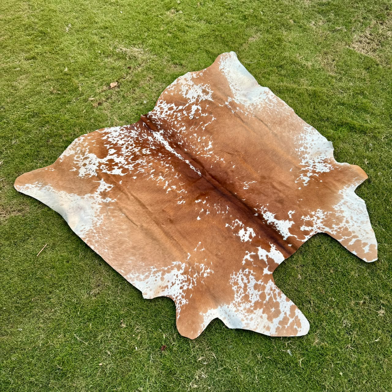 A natural cowhide rug with a mottled brown and white pattern, laid flat on a green grass lawn.