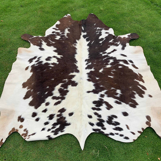A natural cowhide rug with a classic black and white spotted pattern, laid flat on a green grass lawn.