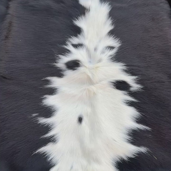 A black and white cowhide rug laid flat on a green grass lawn.
