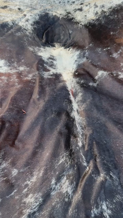 A natural black and white cowhide rug laid flat on a green grass lawn.