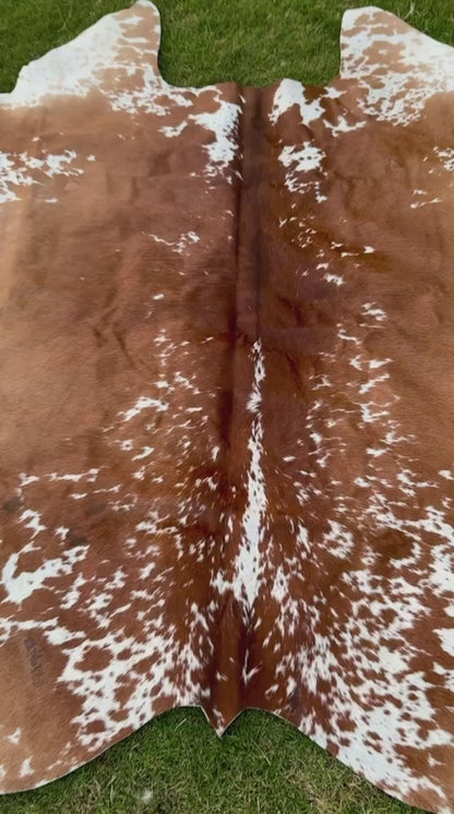 video of A natural cowhide rug with a brown and white mottled pattern, laid flat on a green grass lawn.