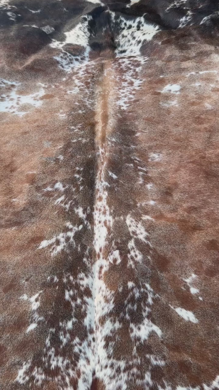 360 veiw of A natural cowhide rug with a brown, black, and white spotted pattern laid flat on a green grass lawn.